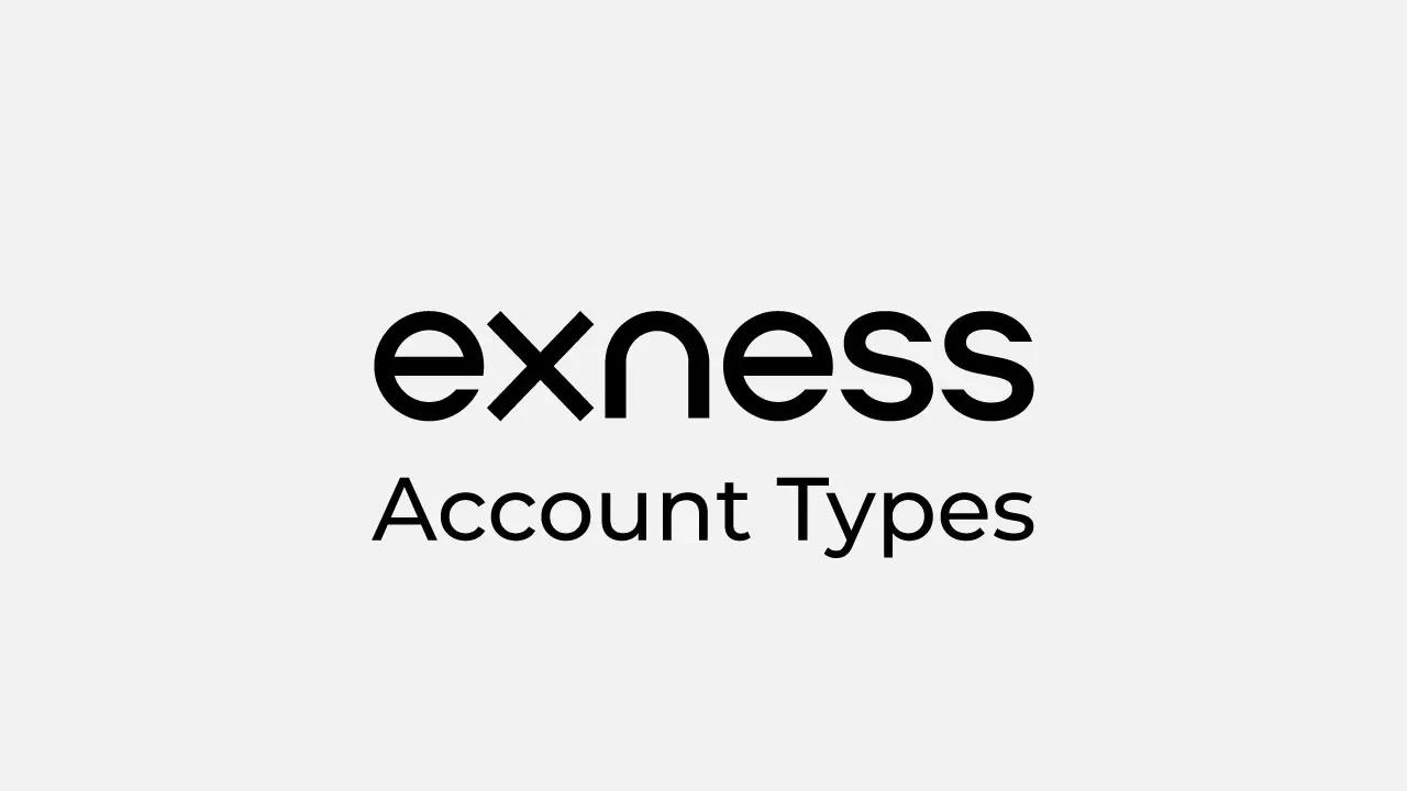 Exness account type review