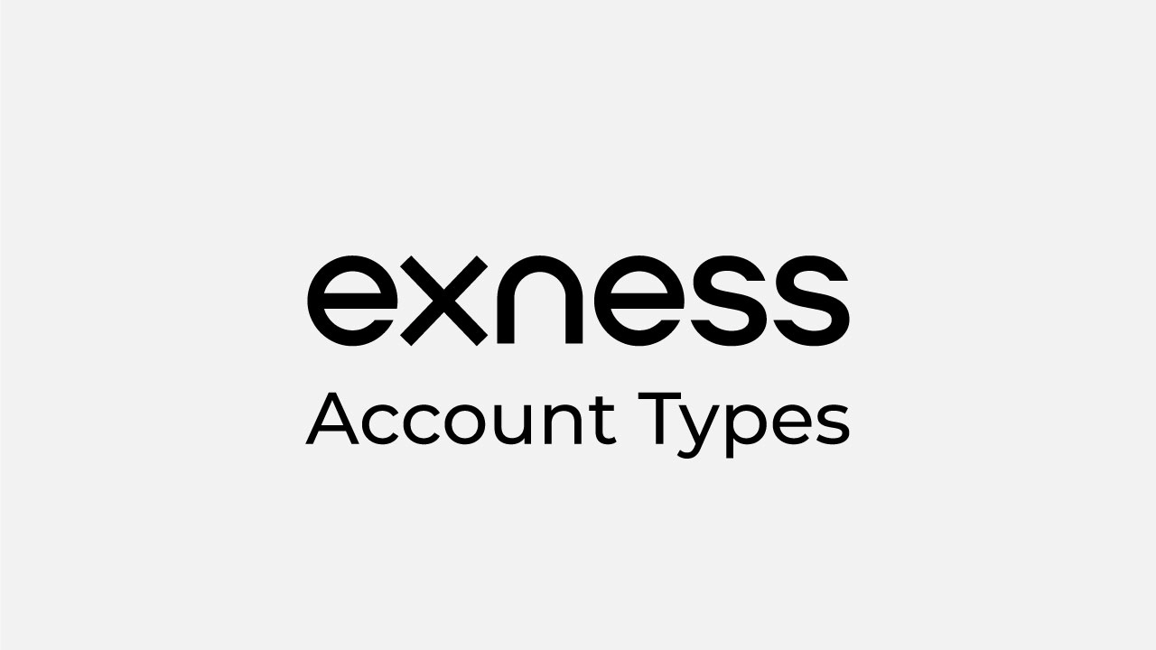 Exness account type review
