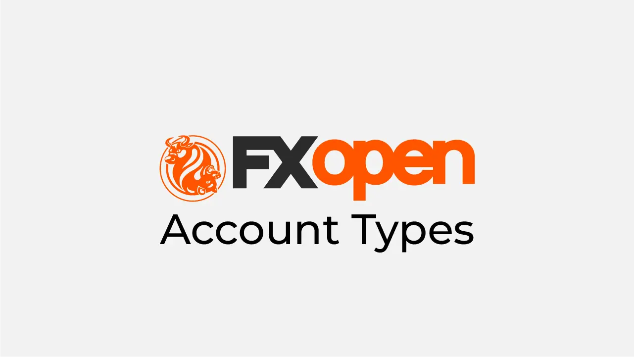 FXOpen Account Types Review 2024